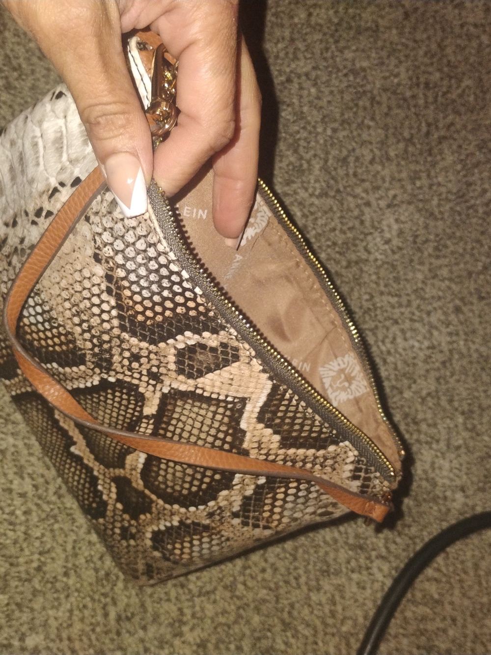 Anne Klein Snake-Print Cosmetic Bag in Brown and Tan